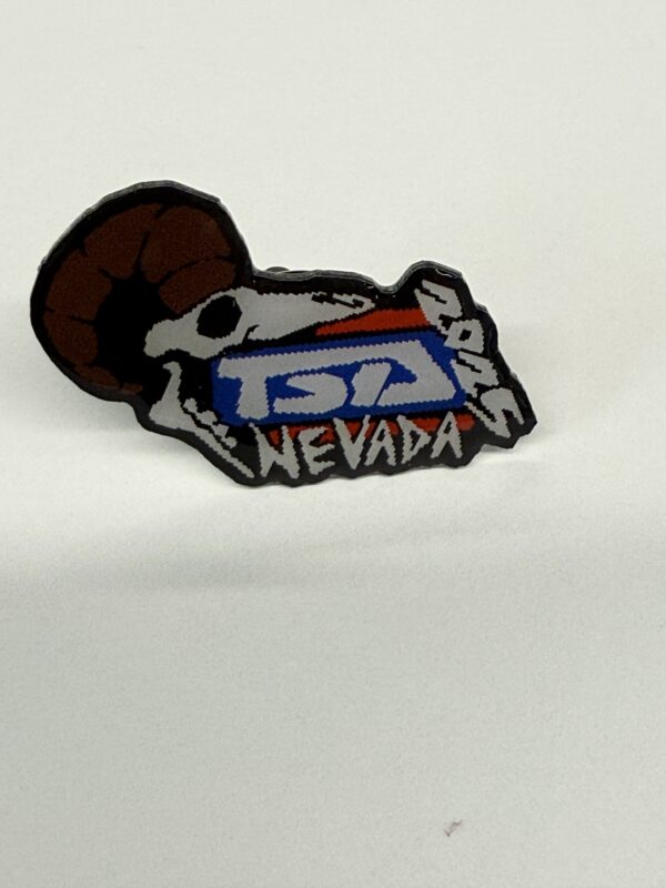 2025 State Pin